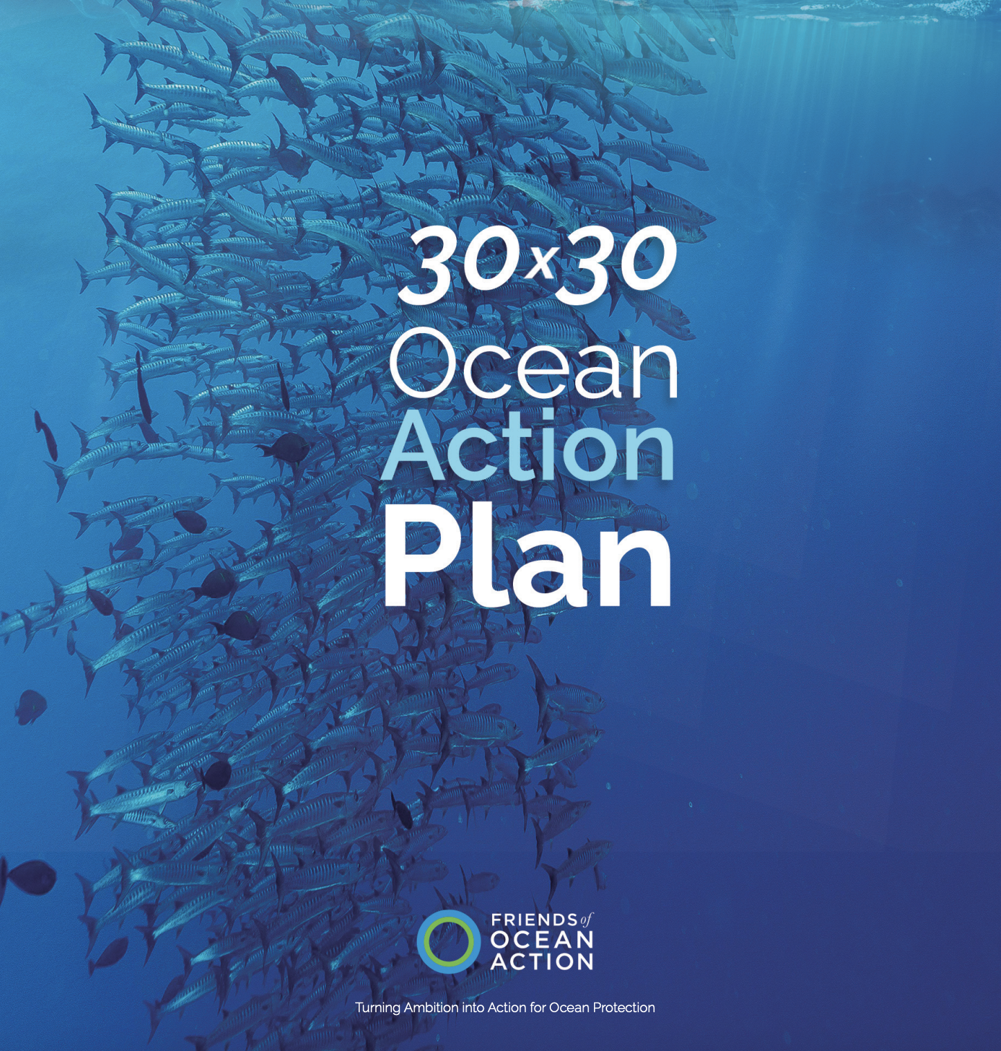 Ocean Action Plan (Friends of Ocean Action)
